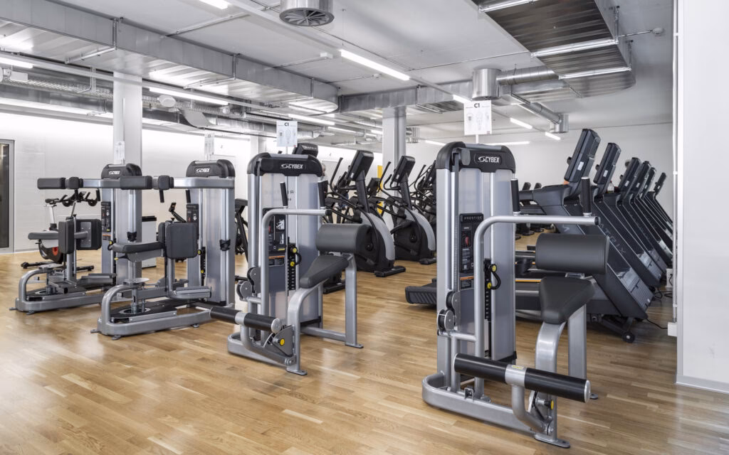 What is Arctic fitness?