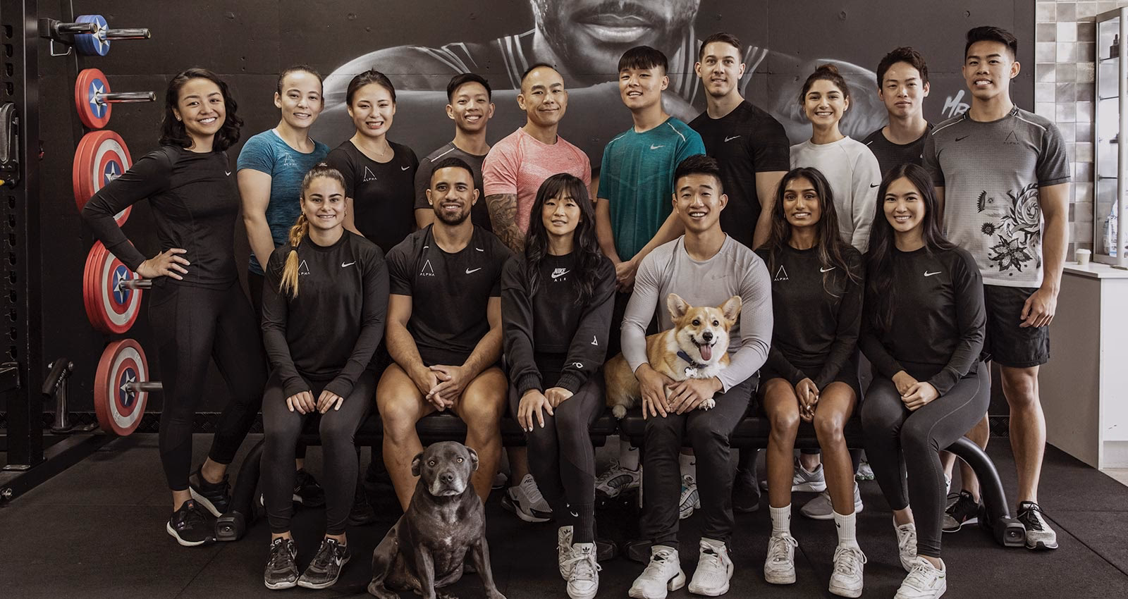 What is alpha gym?