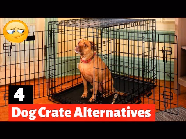 Are there alternatives to dog crates?