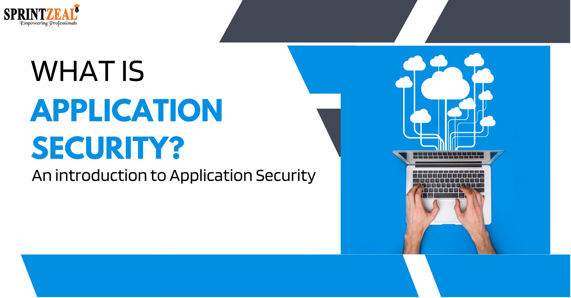 What are application security certifications & trainings?