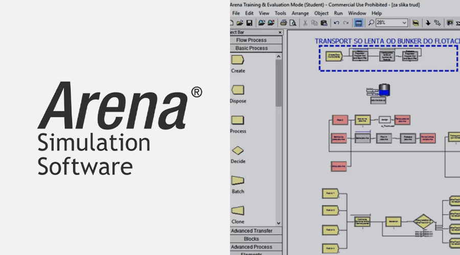 What is Arena simulation software?