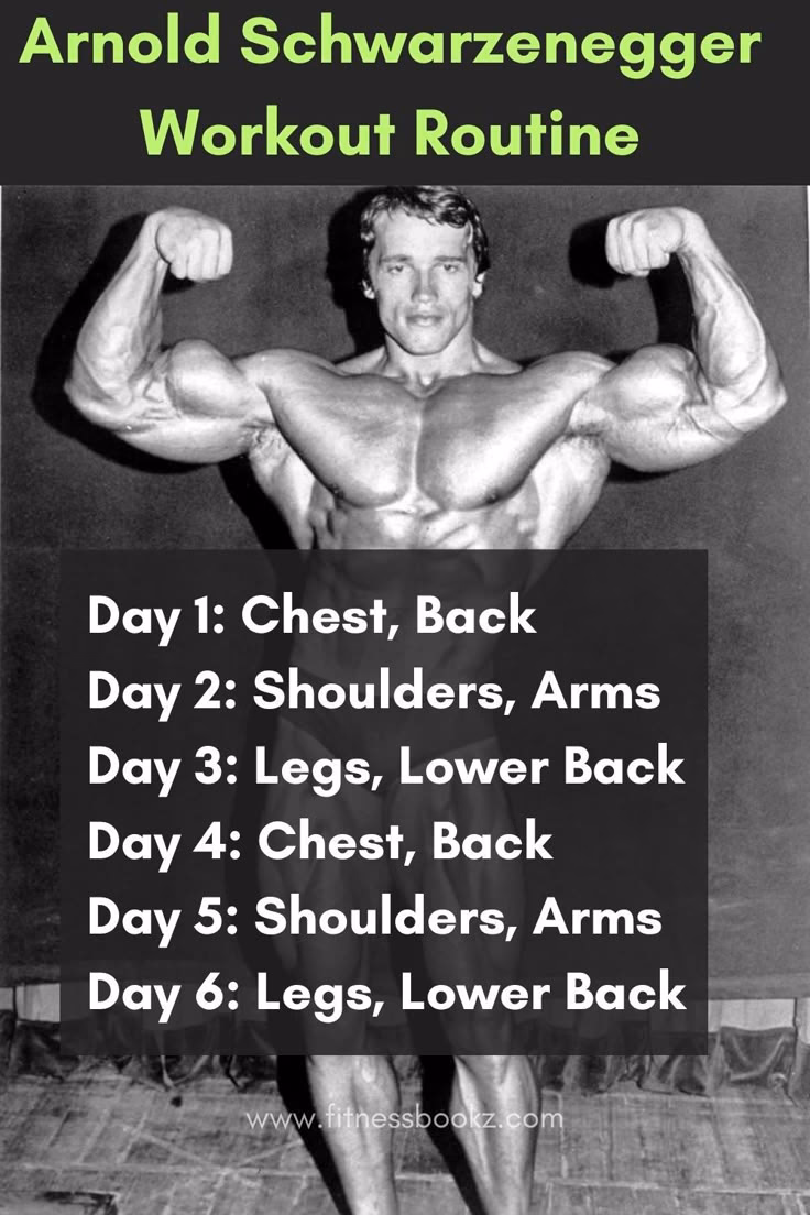 How did Arnold Schwarzenegger prepare for Mr Olympia?