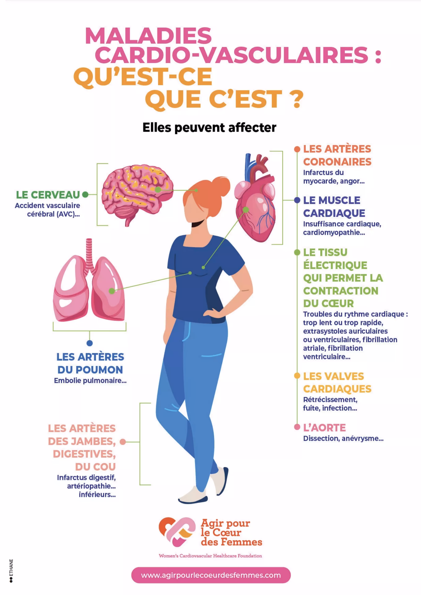 Quels sont les risques d’un arrêt cardiaque ?