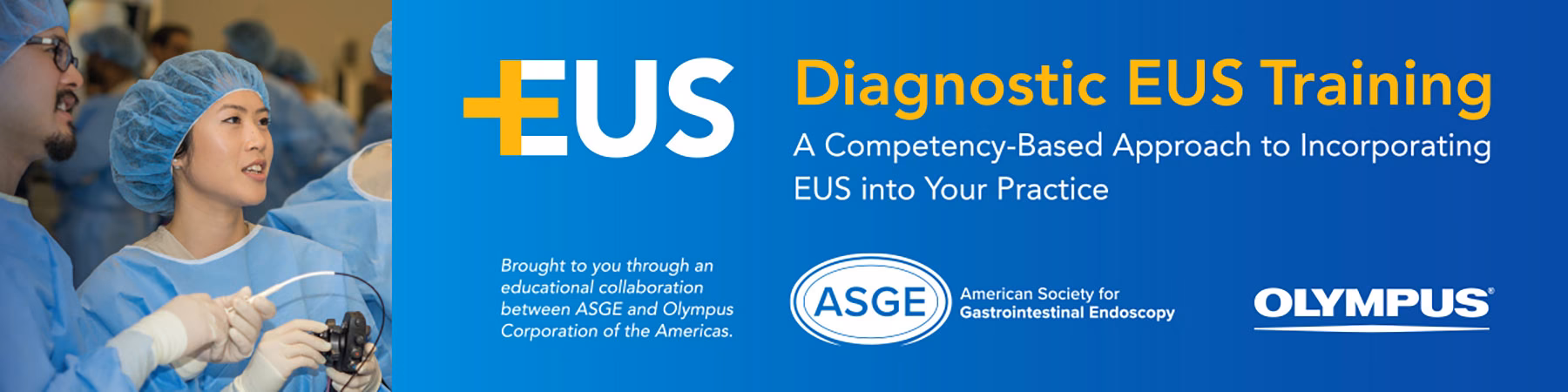 What is The ASGE Fellows program?