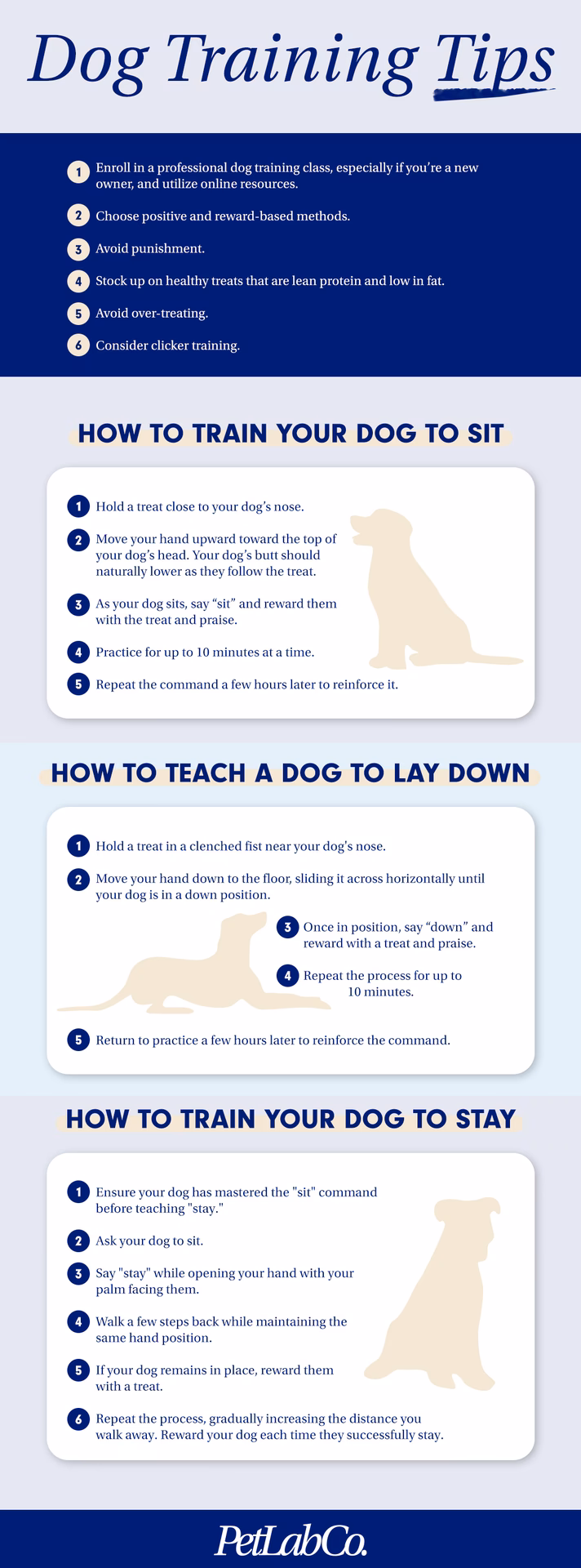 When should a dog start obedience training?