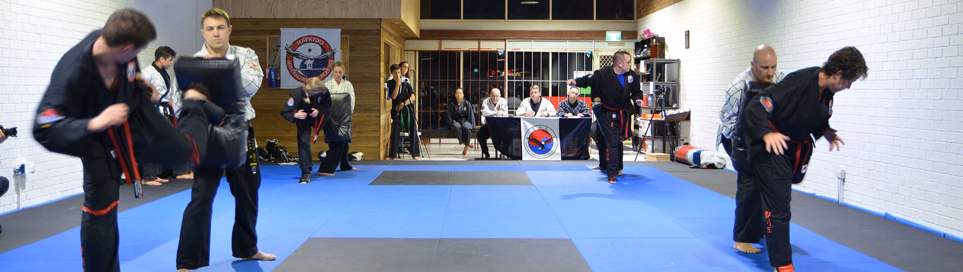 What is the International Hapkido Alliance?