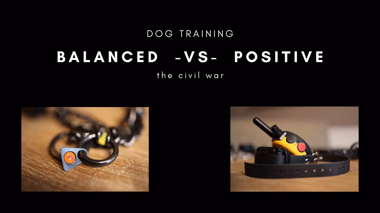 What is balanced training?