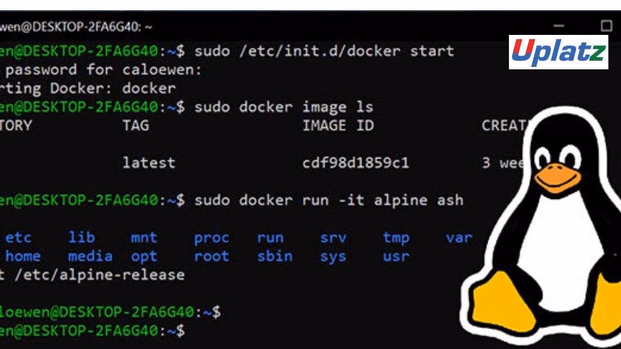 What is a Linux beginner guide?