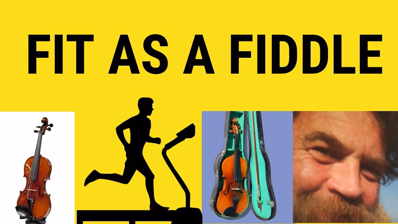 Is a violin a 'fiddle'?
