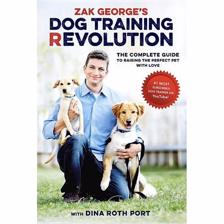 What should you look for in a good dog trainer?