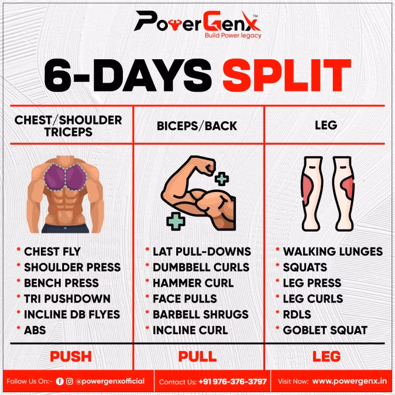 What is a back and triceps workout?