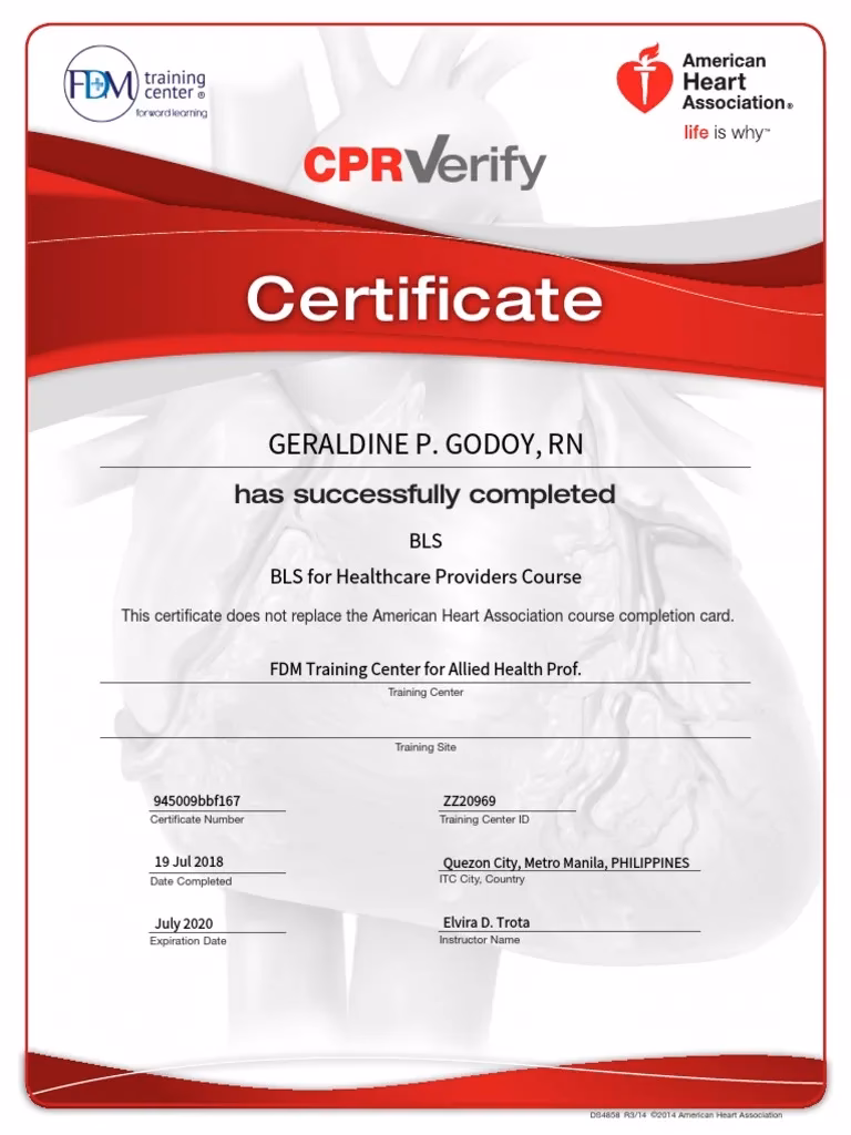 What is the international version of the BLS course?