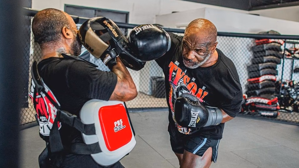 What is a 'peek-a-boo' boxing style?