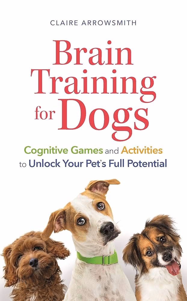 What is a good brain training exercise for dogs?