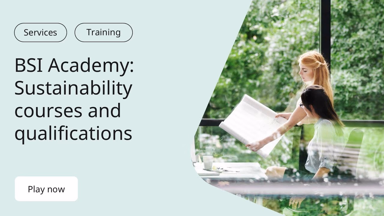 What BSI courses are available online?