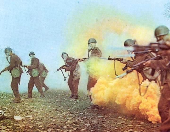 Does the Bulgarian method work for muscle-making?