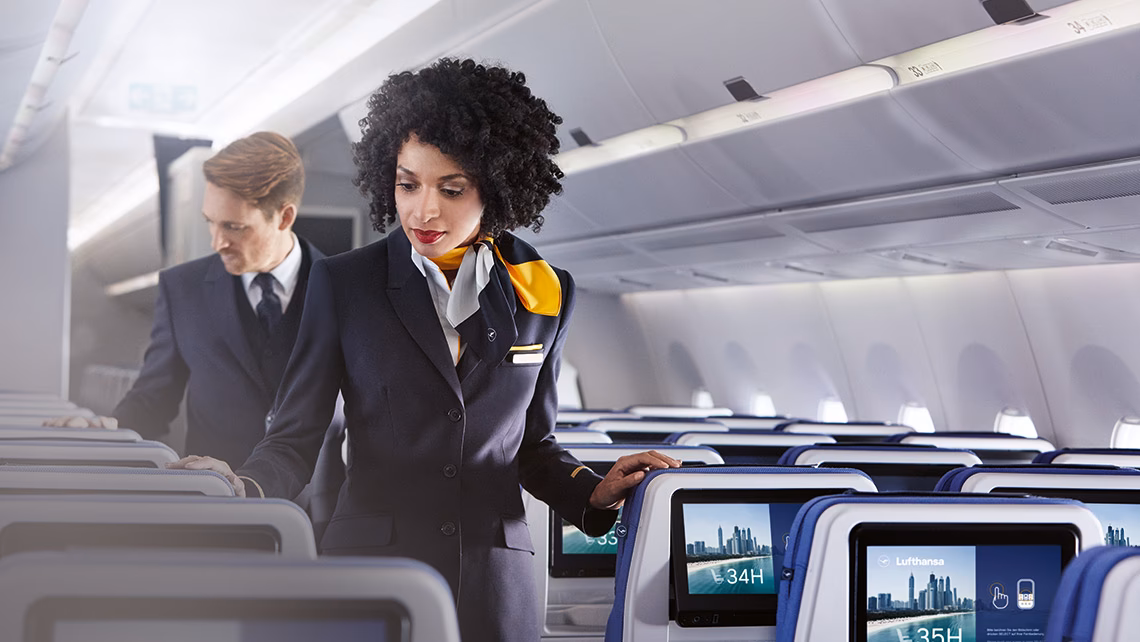 What does a cabin crew member do?