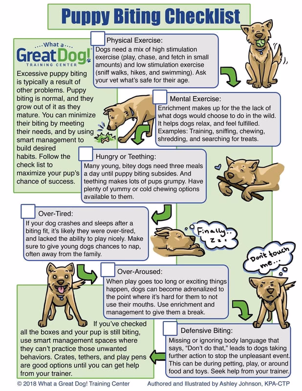 How do you calm a dog if he is tired?