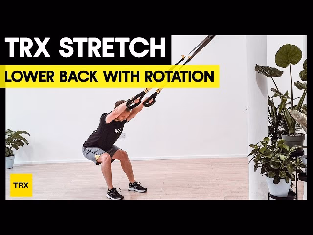 Are TRXs good for upper back training?