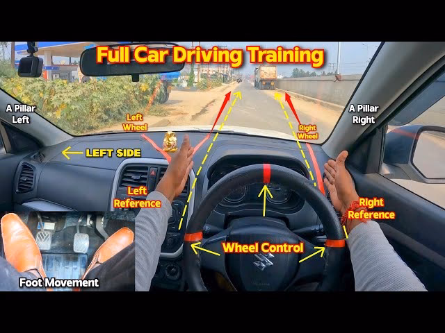 How do I become a champion in car training?