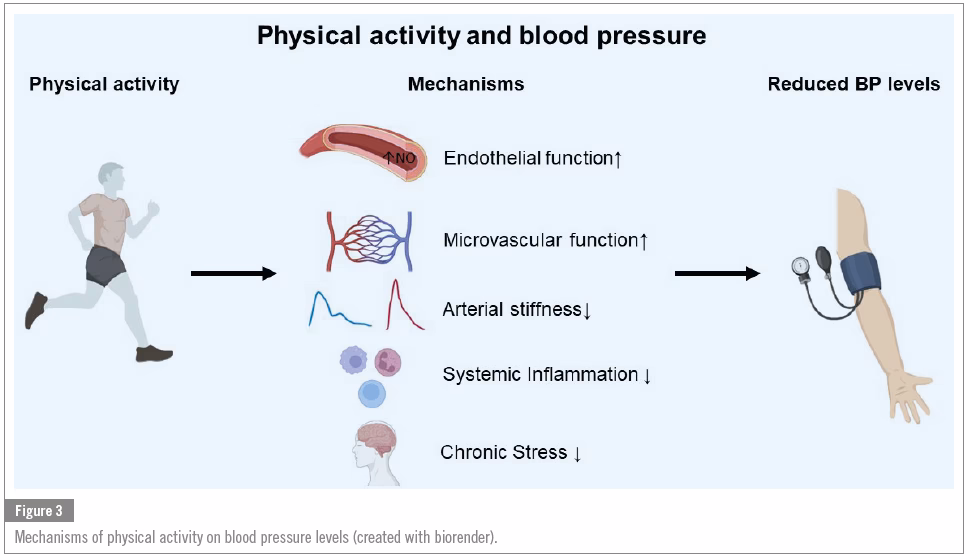Can exercise lower blood pressure?