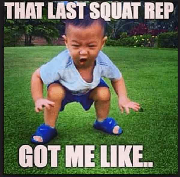 How many workout memes are there?