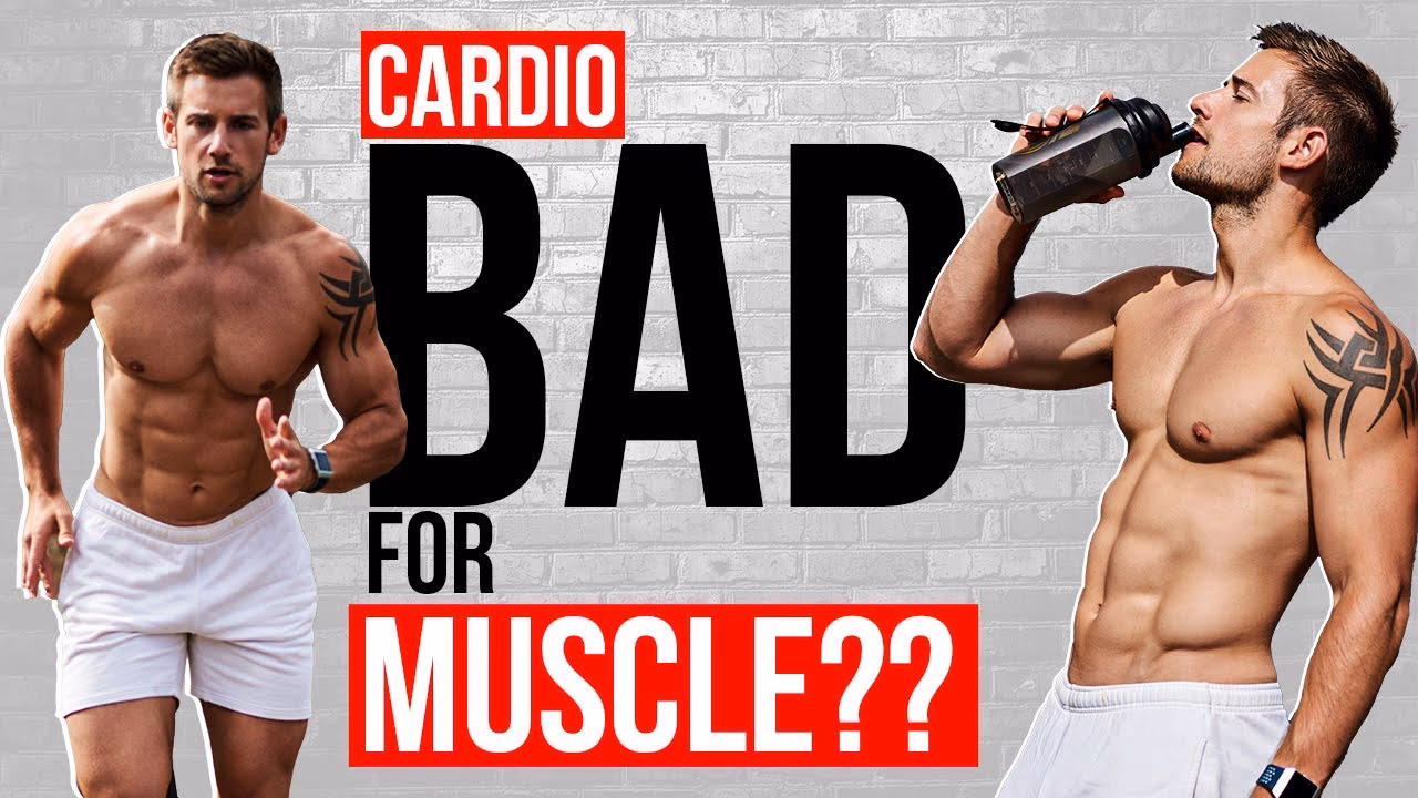 Can a high load of cardio training affect muscle gains?