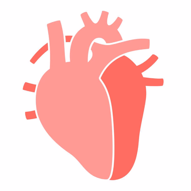 How many free cardio icons are there?