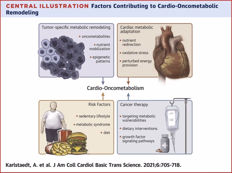 What is cardiovascular oncology?