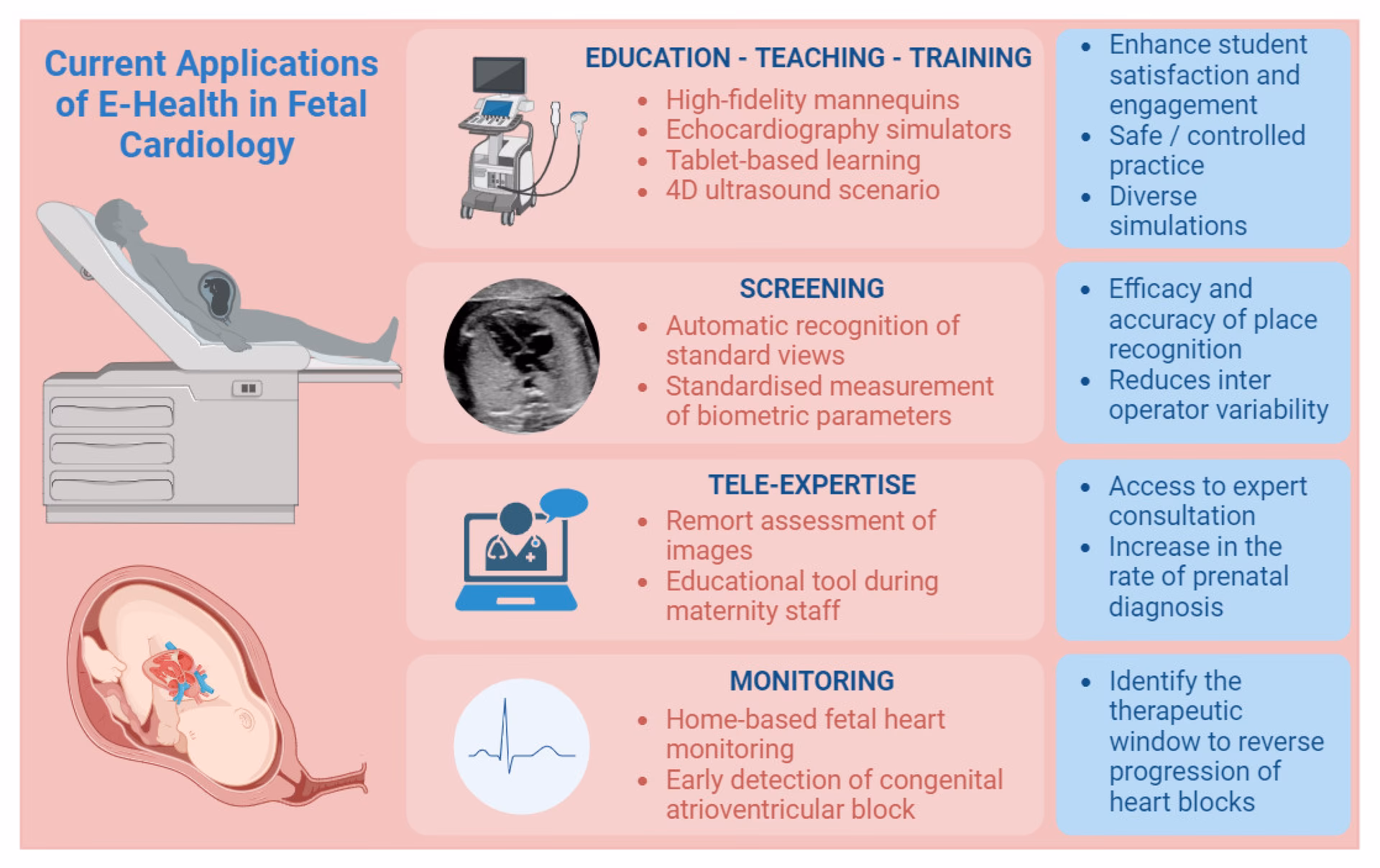 Does Paediatric Cardiology treat anatomical malformations?