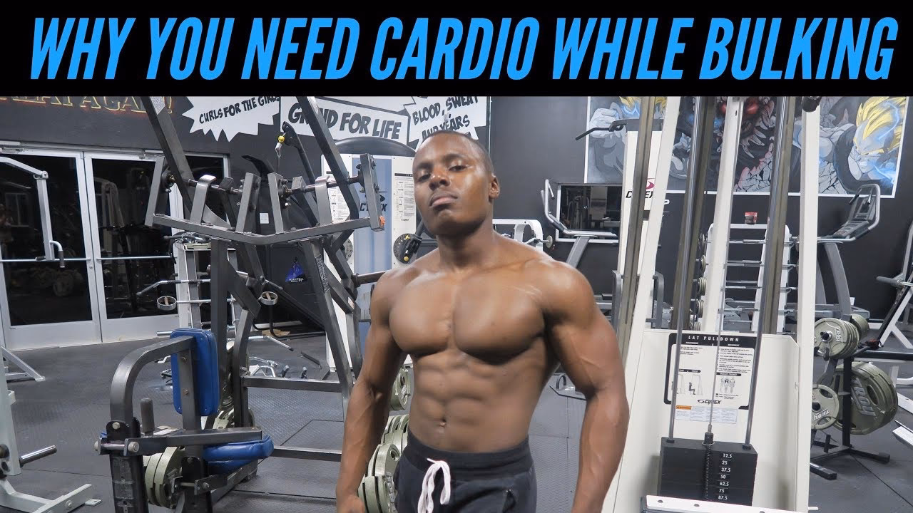 Should you do high-intensity cardio while bulking?