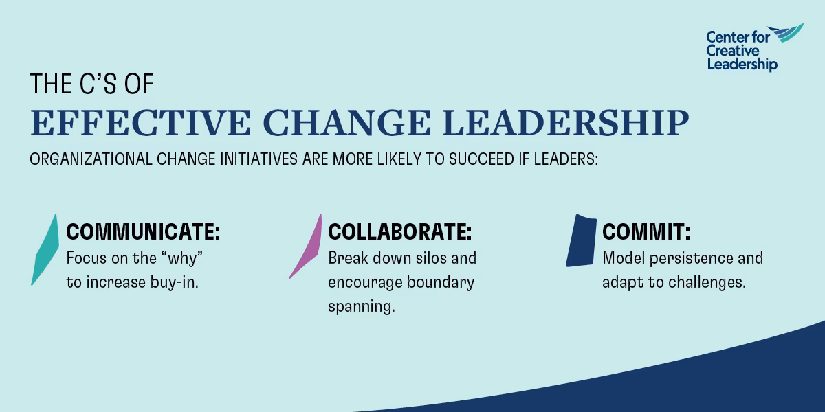 What do you learn in a change management course?