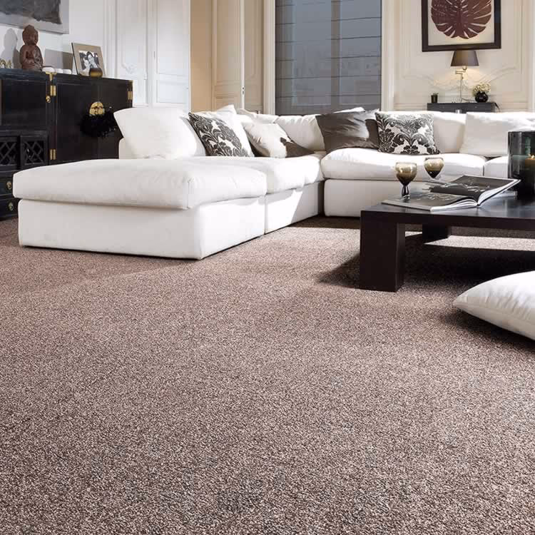 Where can I buy carpets online?