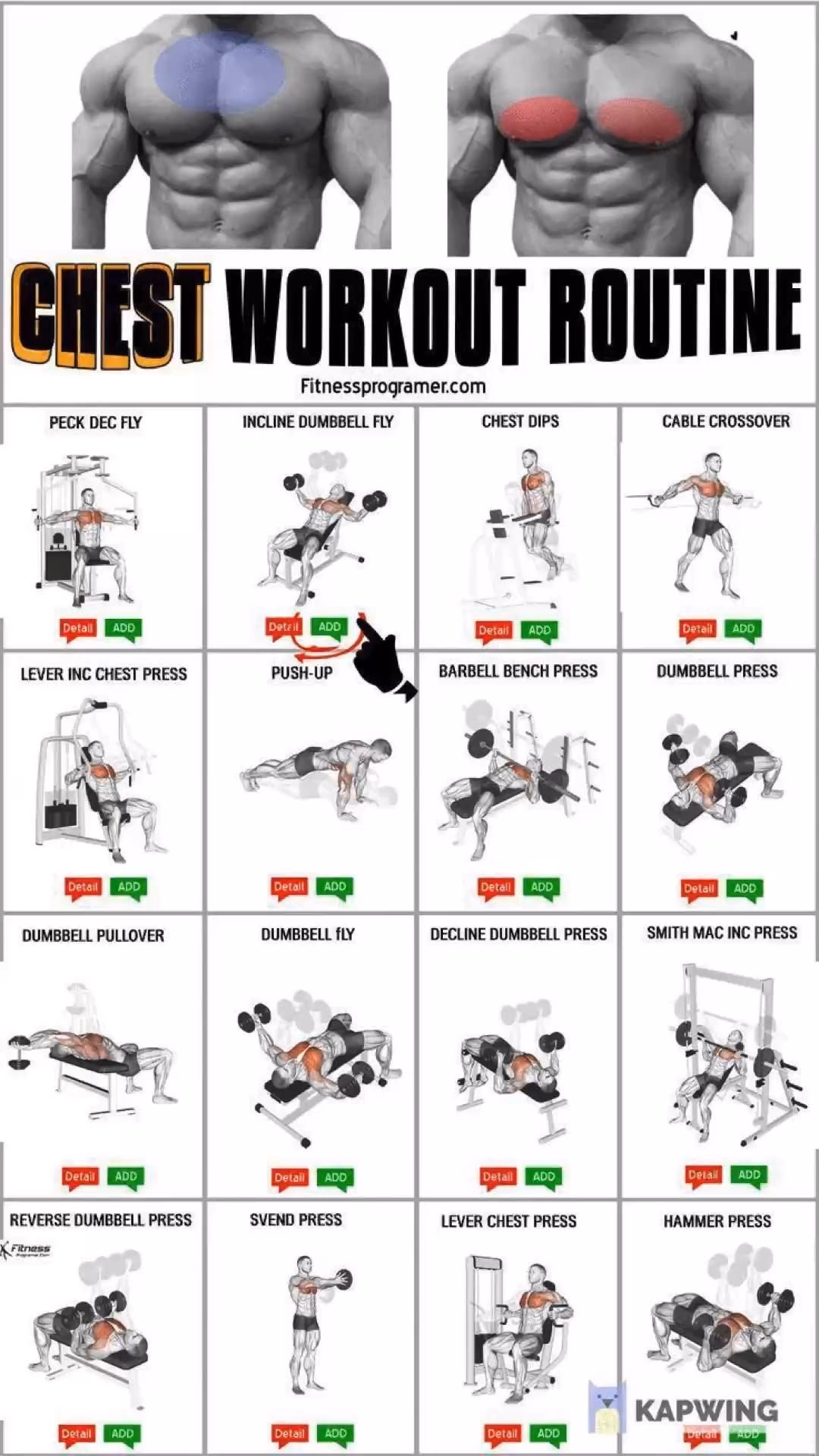 What exercises should be included in a chest training plan?