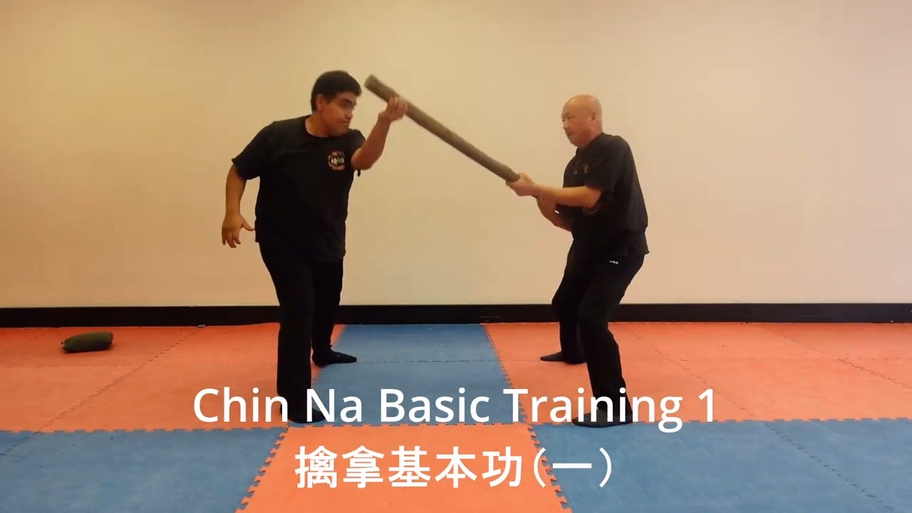 What will I learn in Chin Na?