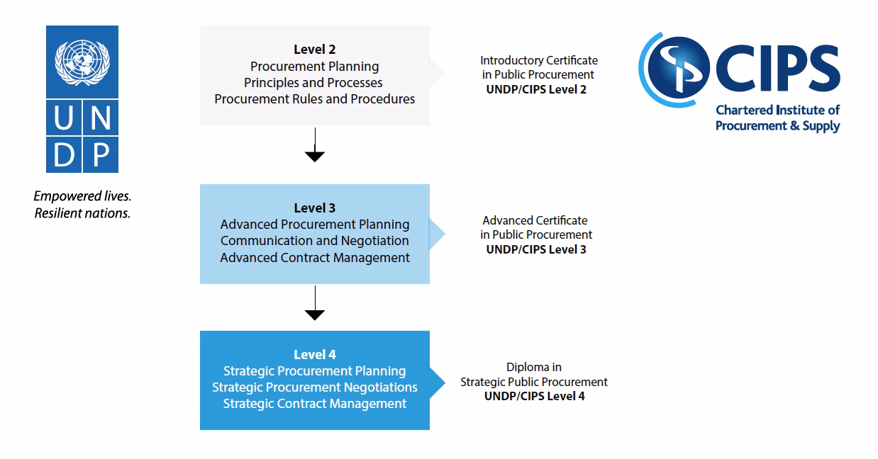 What is a CIPS qualification?
