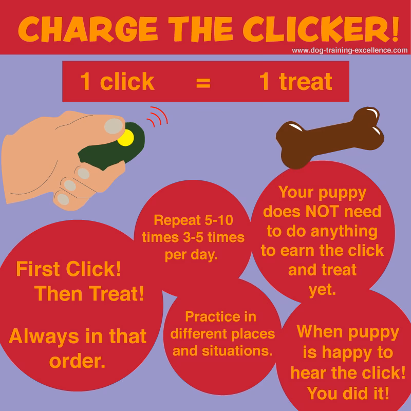 When should you clicker Train Your Dog?