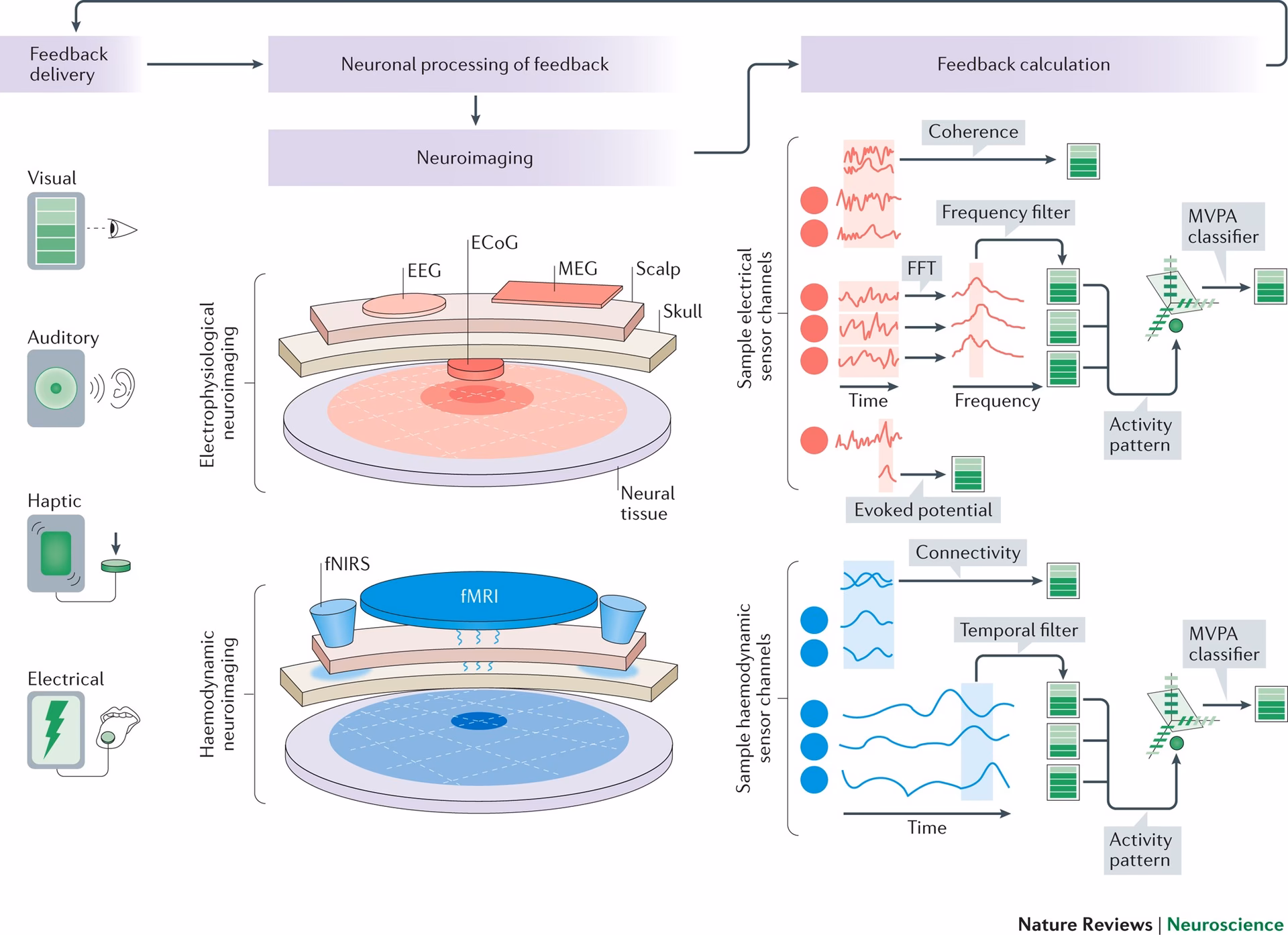 Can neurofeedback modulate neural circuitry without conscious awareness?