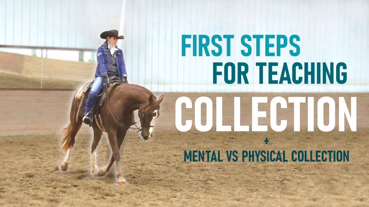Why is collection important for a horse?