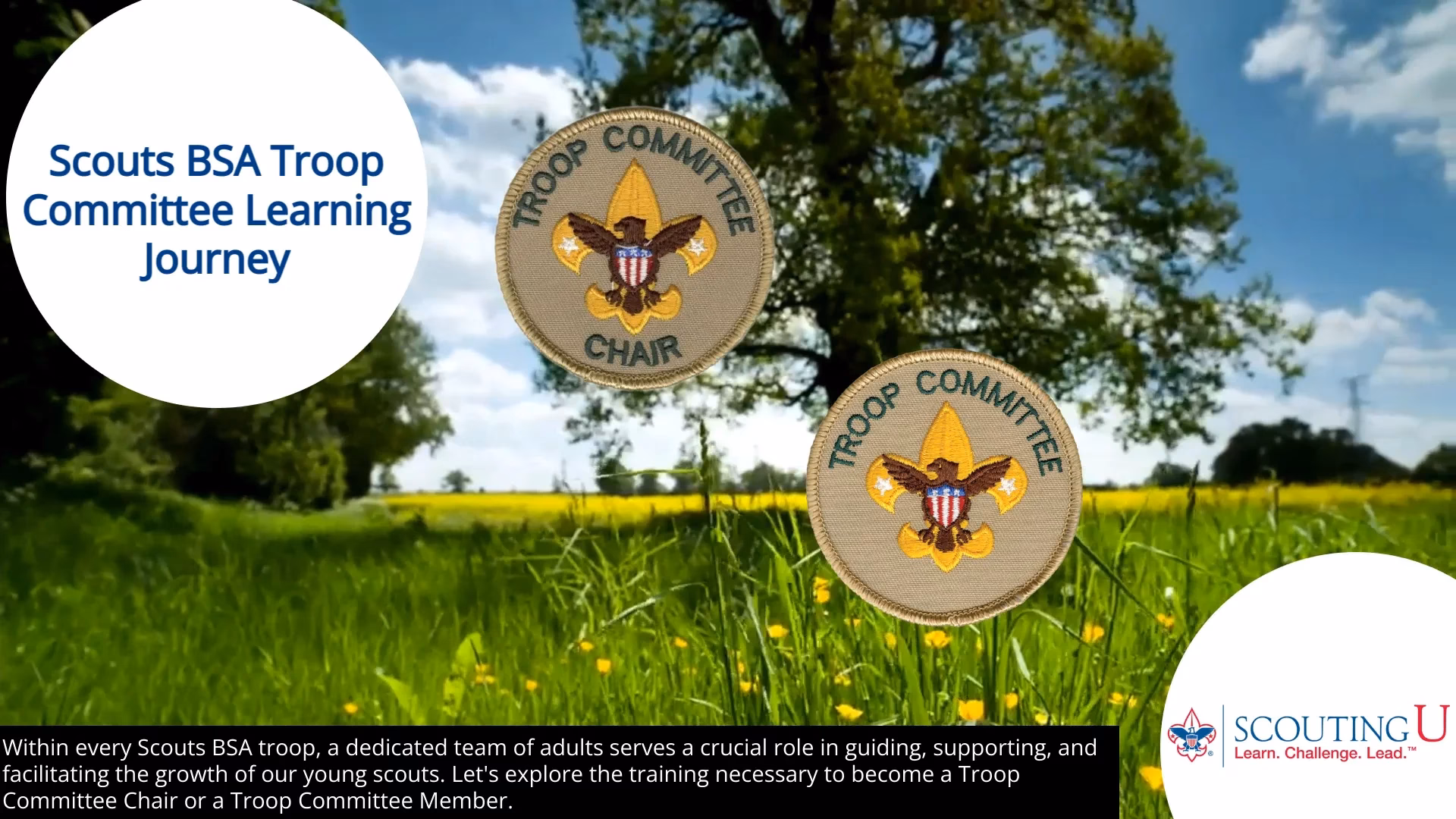 What does a Scout Committee chair do?