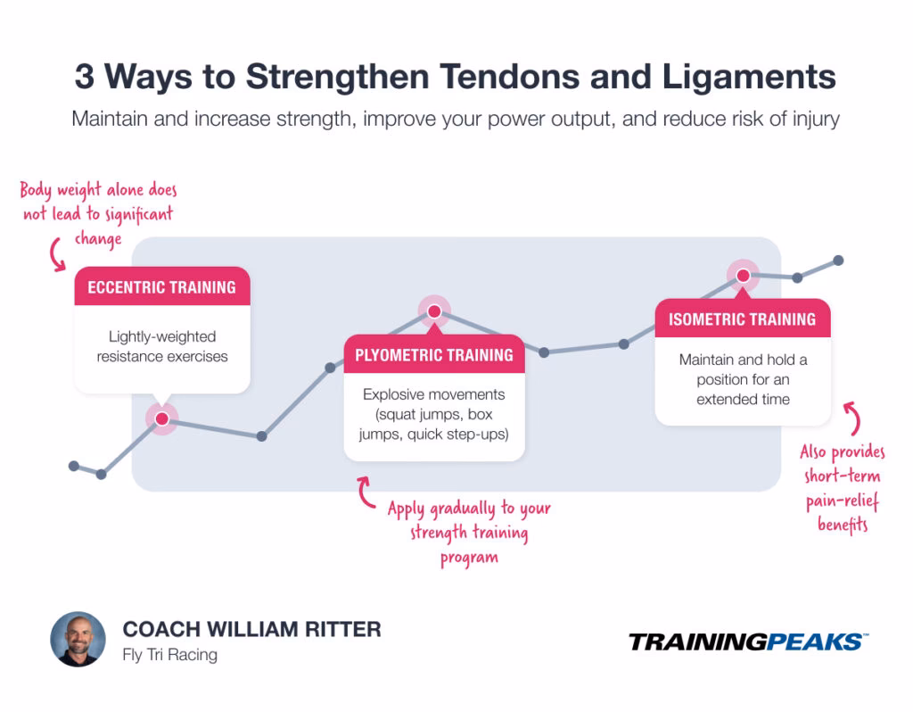 How do you strengthen tendons?