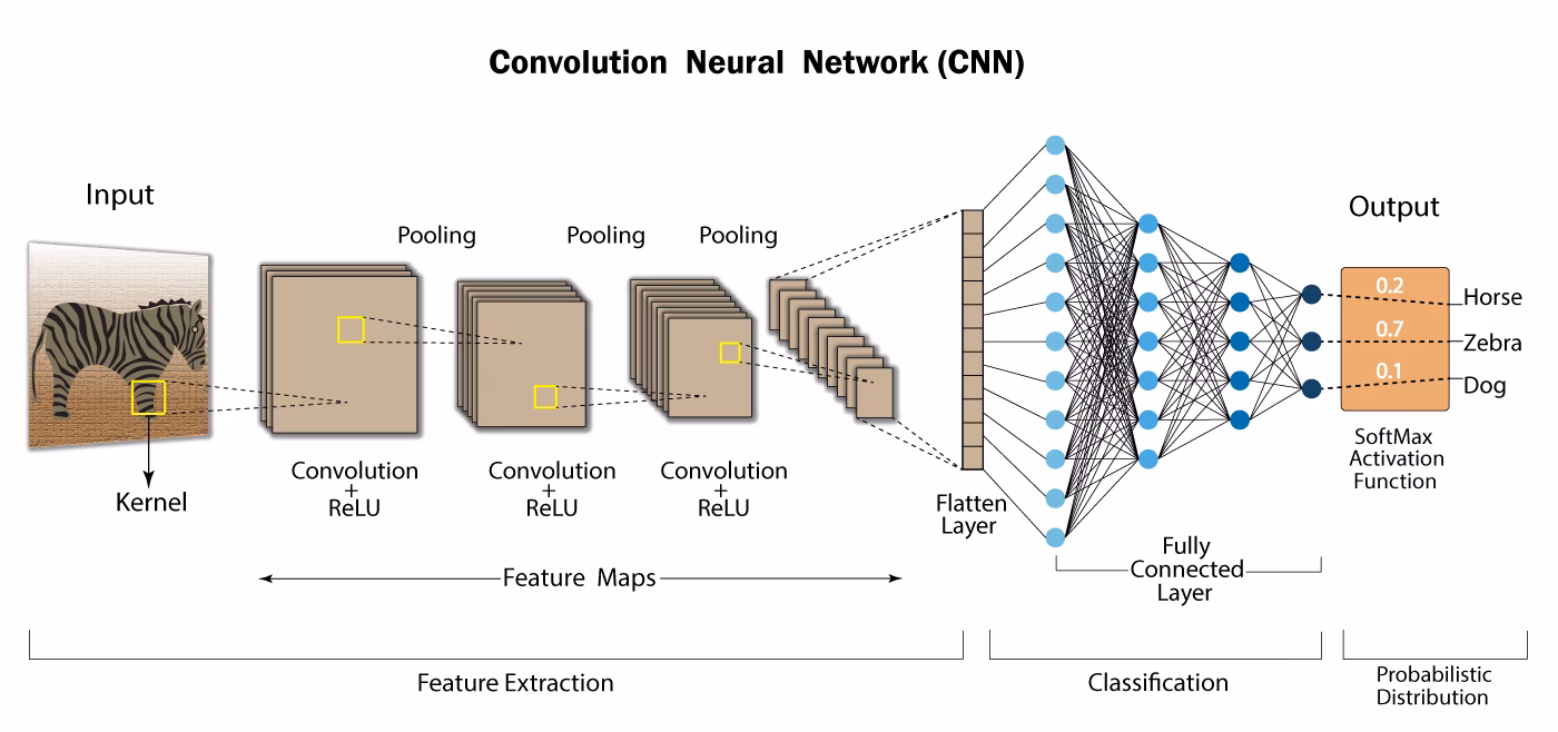 How to normalize a convolutional network?