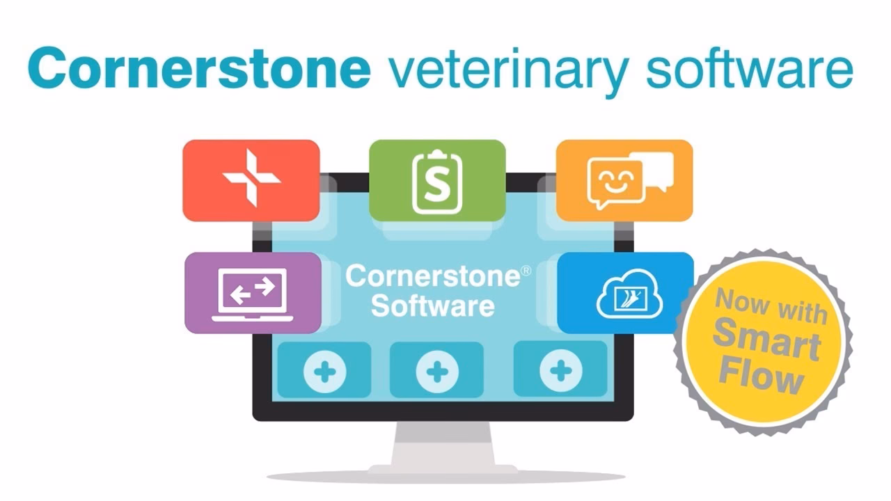 How can cornerstone help a veterinary practice?