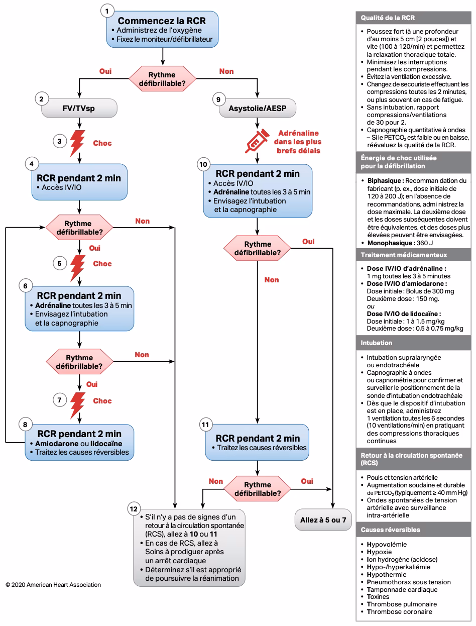 Qu'est-ce que la réanimation cardiorespiratoire ?