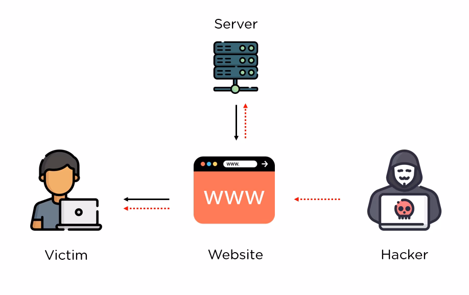 Where can I learn cross-site scripting (XSS)?