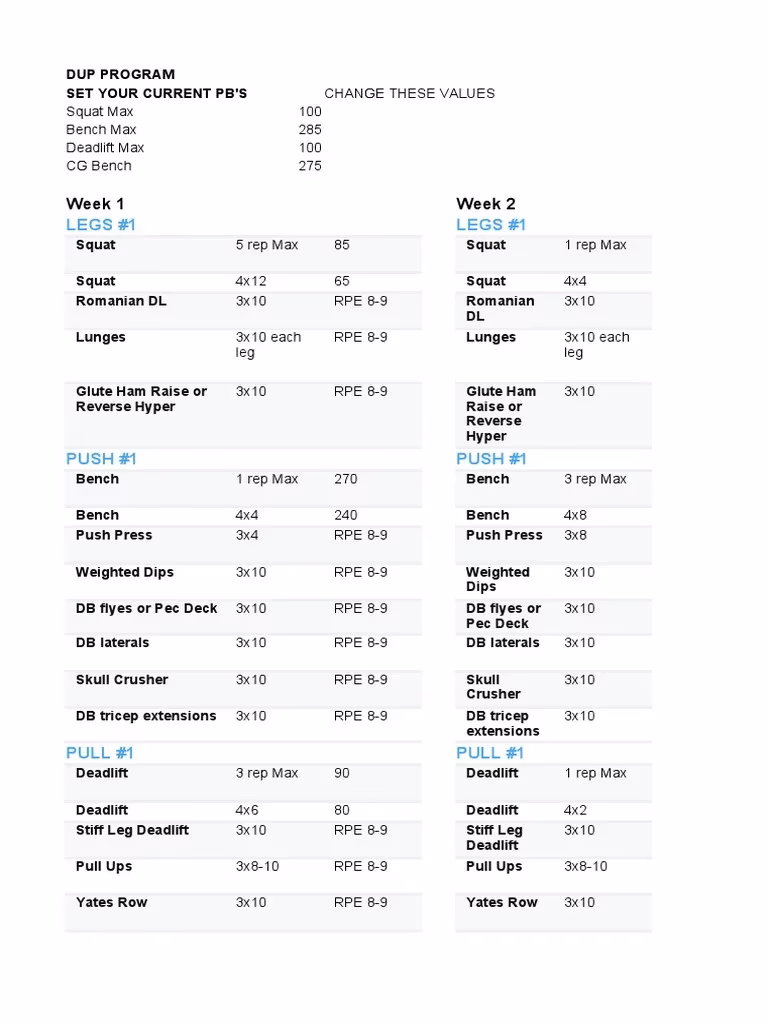 What is David laid DUP program?