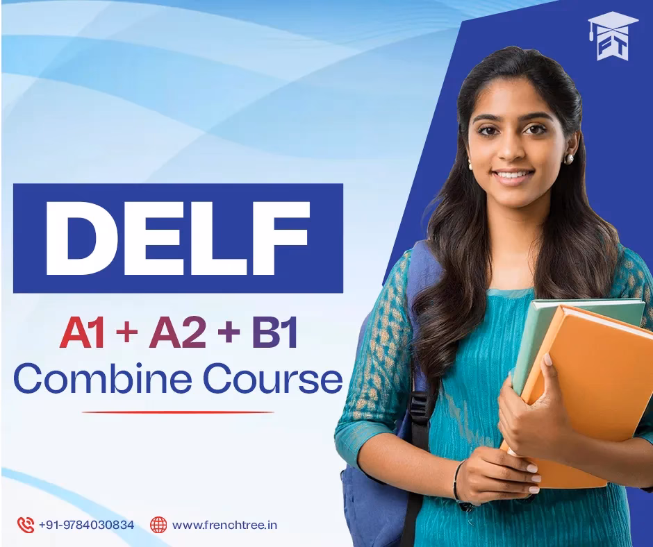 How to prepare for a Delf B1 Delf B2 DALF C1 exam?