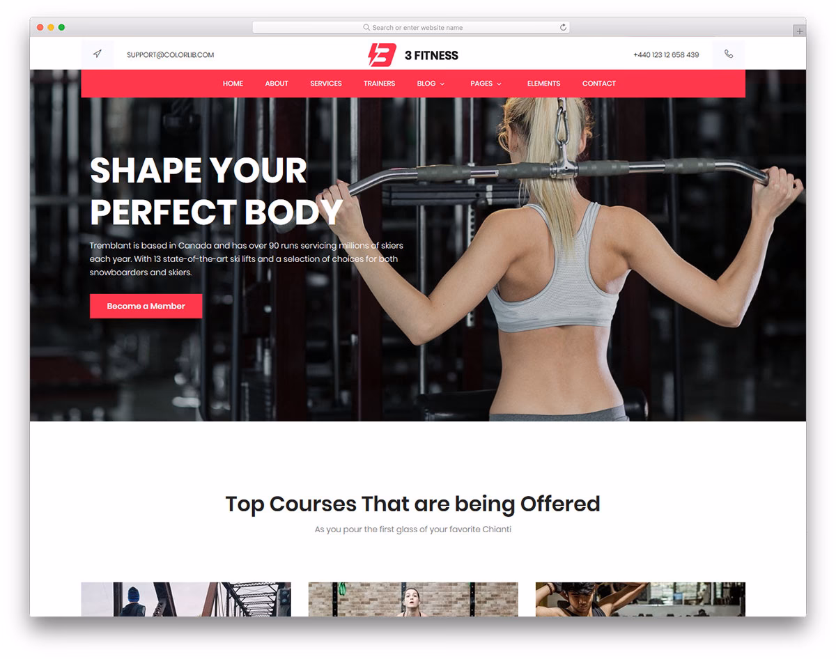 What is a fitness website?