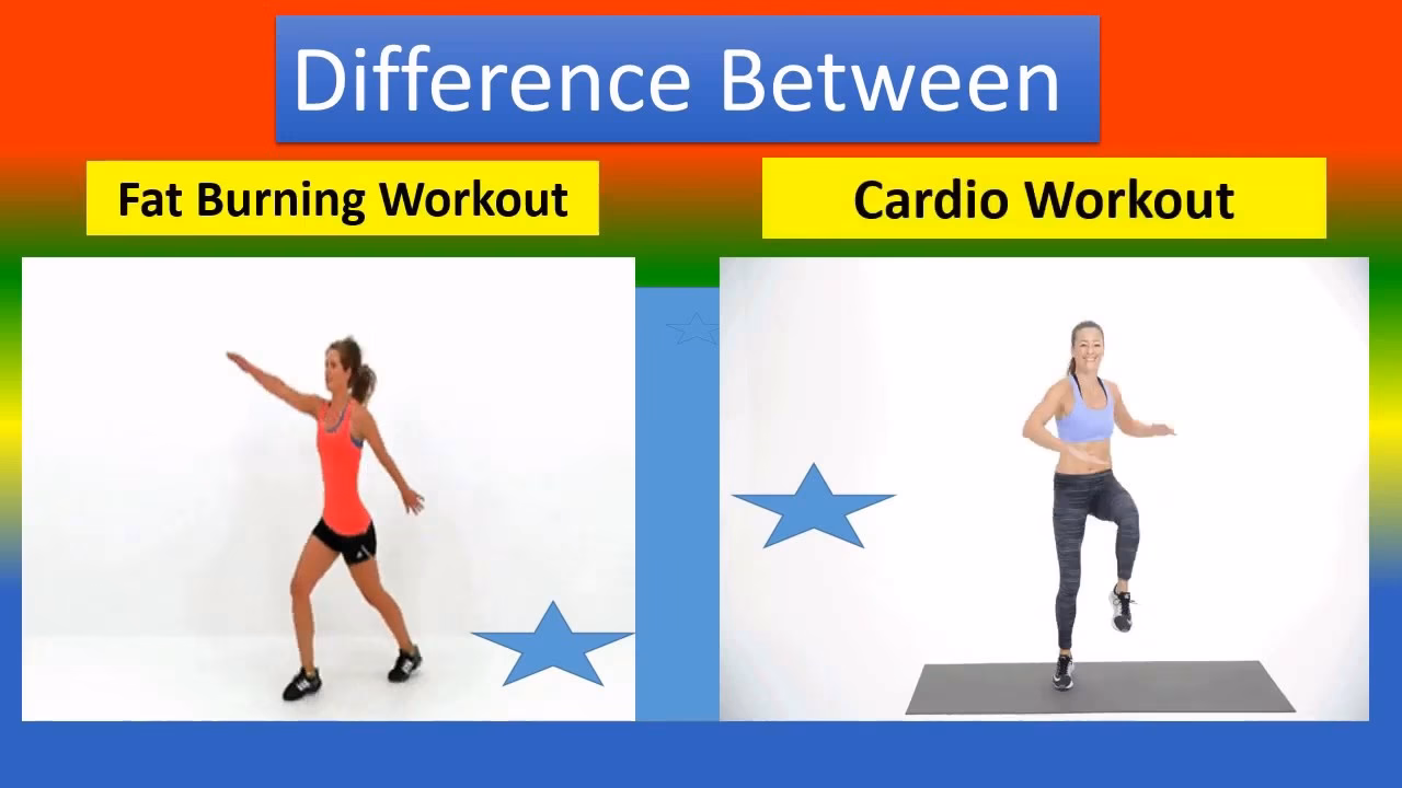 What is the difference between fat-burning and cardio?