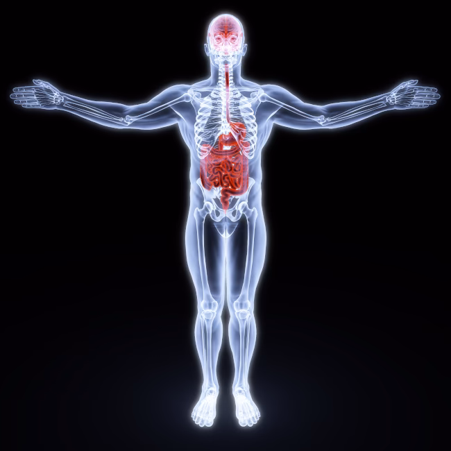 Can training the gut prevent GI problems?